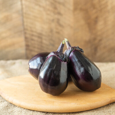 Turkish Eggplant heirloom/op Seeds: Scarlet Eggplant Seeds 