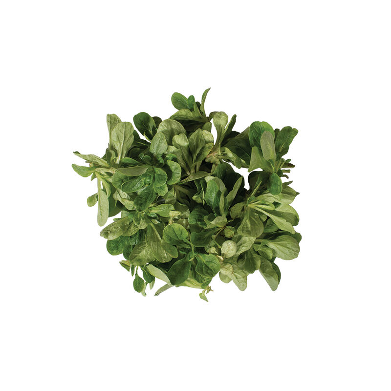 Vit Specialty Greens