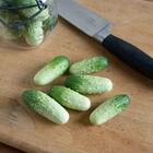 Quirk Specialty Cucumbers