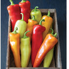 Hungarian Hot Wax Hot Peppers