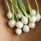 Eclipse Eclipse Mini Onions