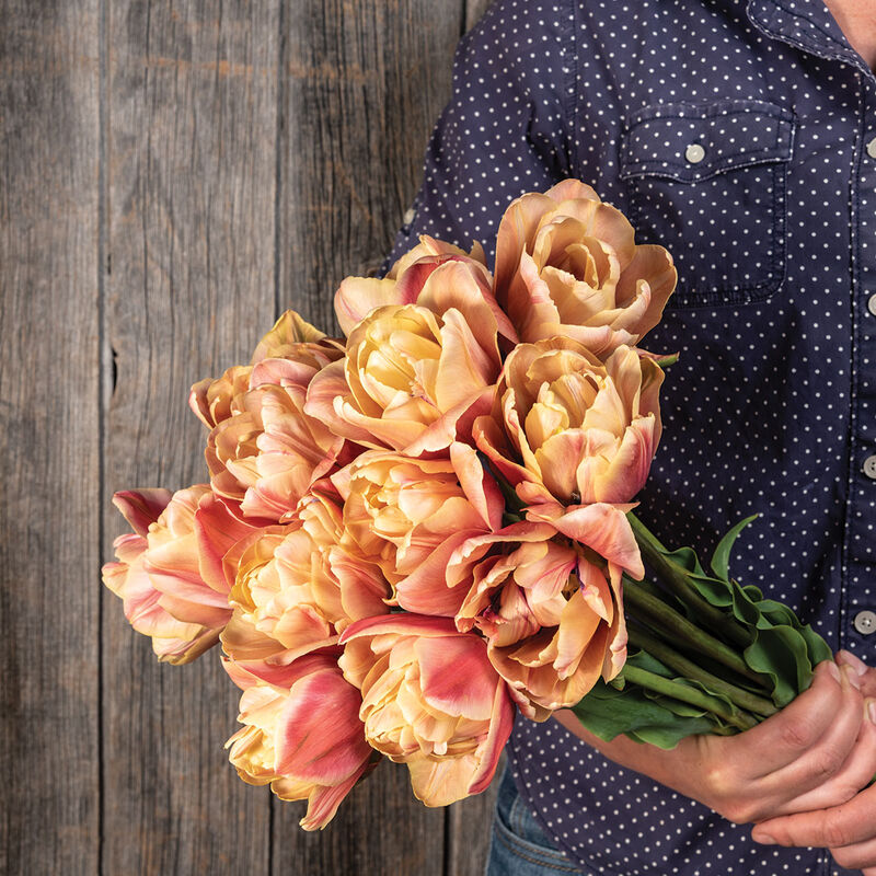 La Belle Epoque Tulips