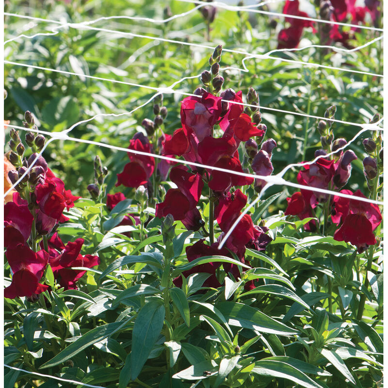 Hortonova FA – 48" x 3,280' Hortonova FA – 48" x 3,280' Trellis Netting