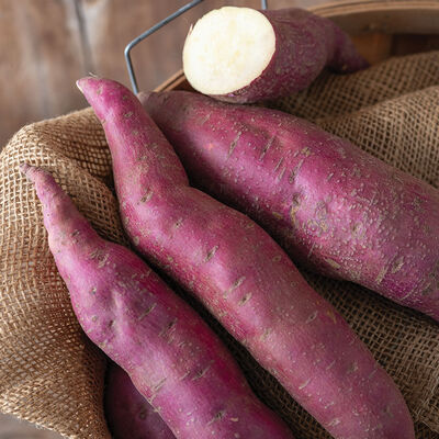 Murasaki Sweet Potatoes