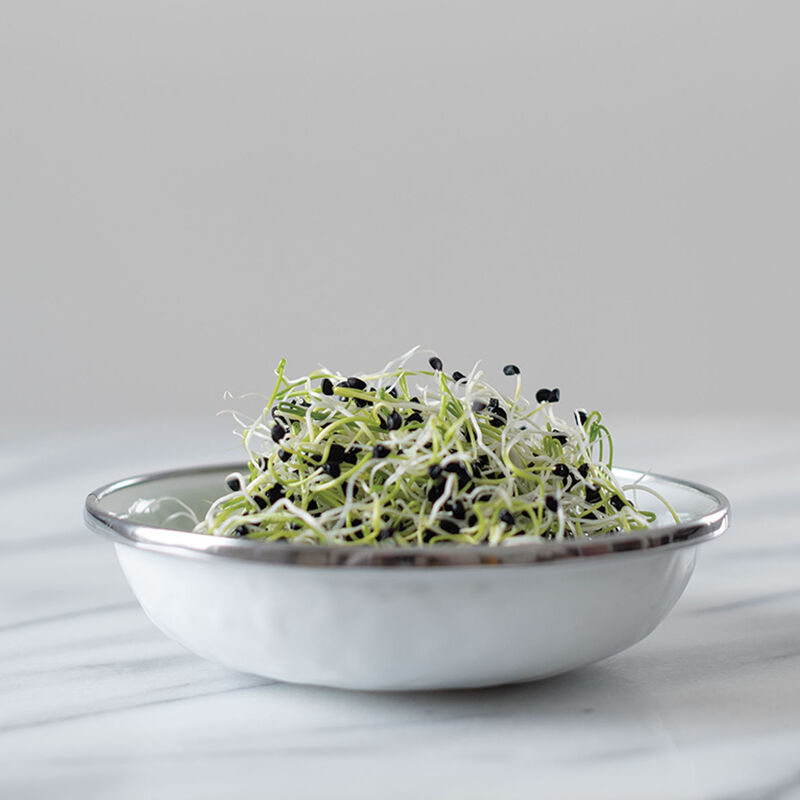 Onion Sprouts