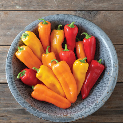 Cornito Pepper Mix Sweet Peppers