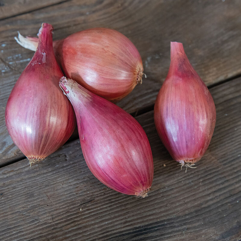 cluster of shallots, ai generated 30801823 PNG