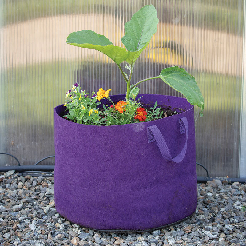 Smart Pot® Vivid Color, Violet – 15 Gal. Grow Bags