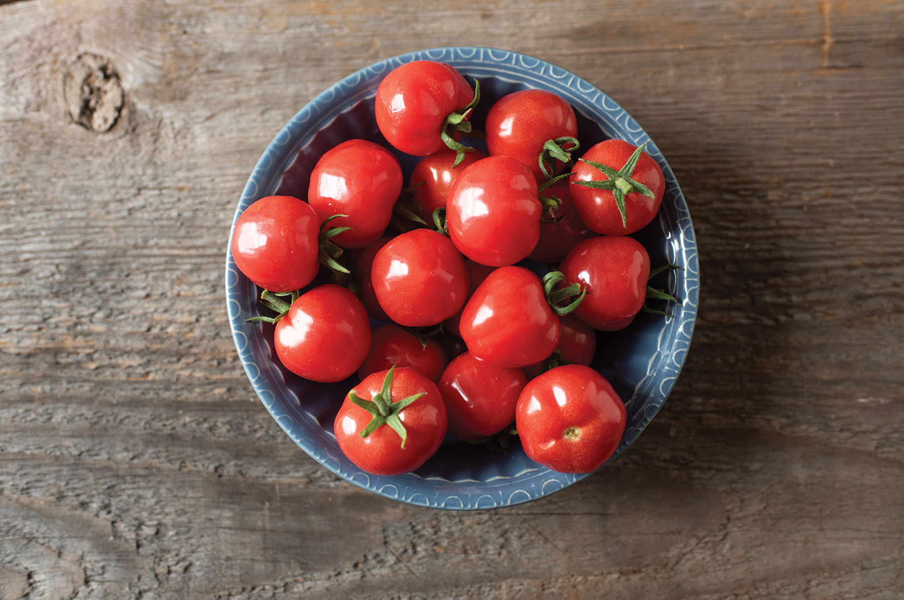 Johnny's - もち Mochi - Cherry Tomato Seeds | Johnny's Selected Seeds