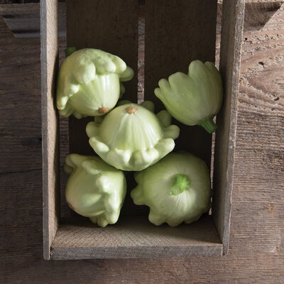 Jaune et Verte Summer Squash