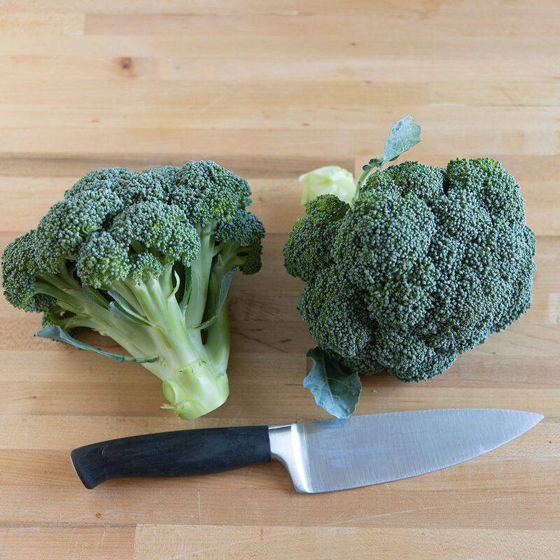 Eastern Magic Standard Broccoli