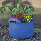 Smart Pot® Vivid Color, Berry Blue – 7 Gal. Grow Bags