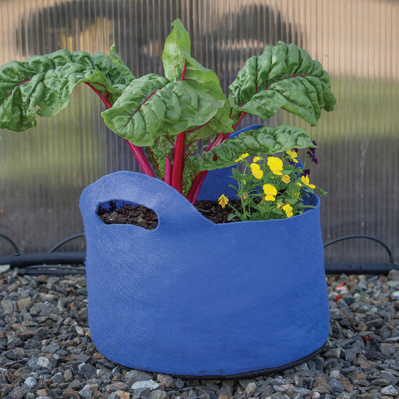 Smart Pot® Vivid Color, Berry Blue – 7 Gal. Grow Bags