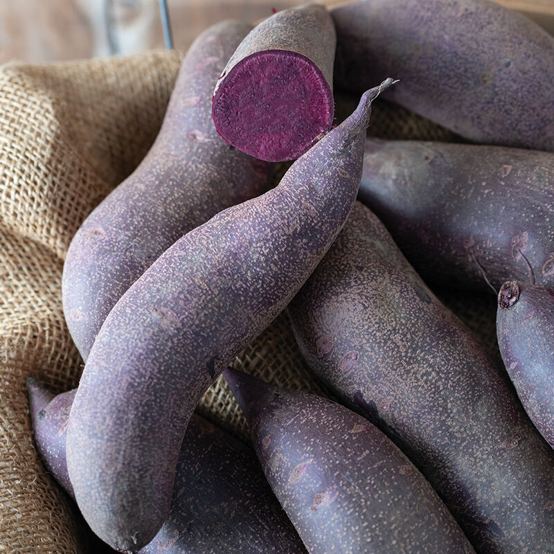 Purple Majesty Sweet Potatoes