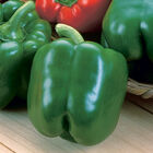 Green Machine Sweet Bell Peppers