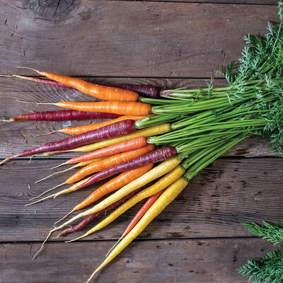 Glow Stix Moonrise Mix Glow Stix Moonrise Mix Carrot Mixes