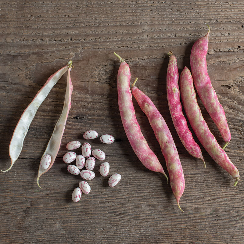 Flambo Fresh Shell Beans