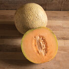 Divergent Cantaloupe (Muskmelon)