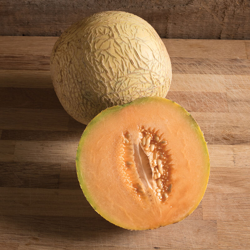 Divergent Divergent Cantaloupe (Muskmelon)