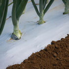White on Black Mulch – 4' x 50' Mulch Films