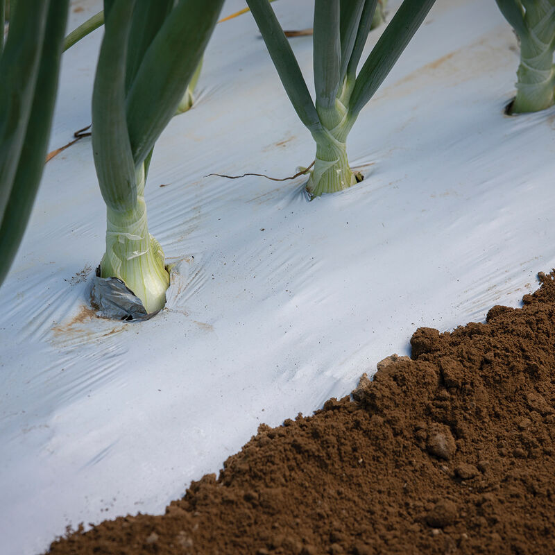 White on Black Mulch – 4' x 4,000' Mulch Films