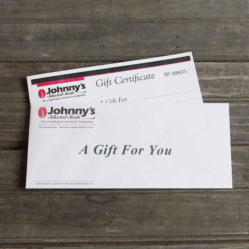 Gift Certificate – $10.00 Gift Certificates
