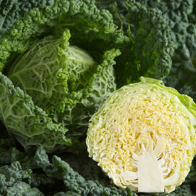Alcosa Alcosa Fresh Market Cabbage