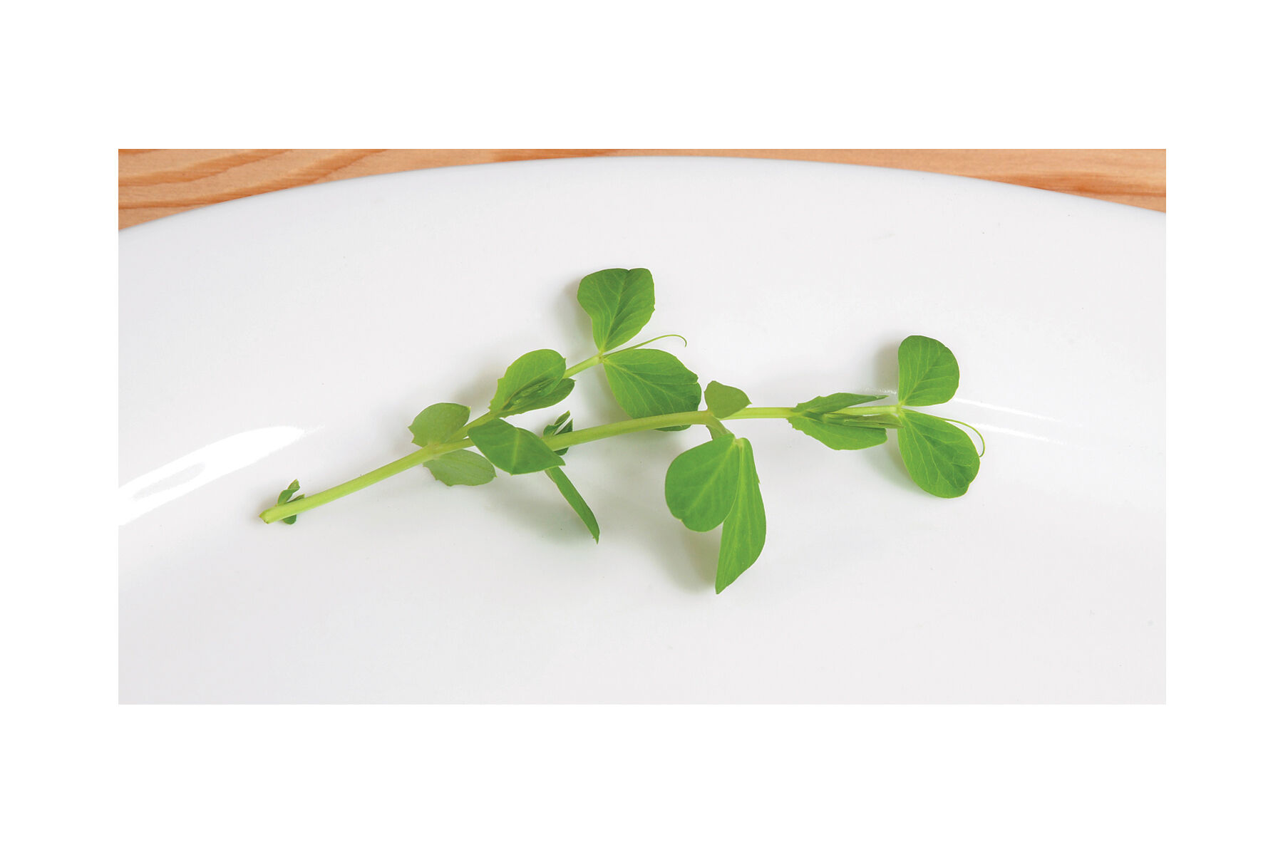 Field Peas (Maxum) Field Peas