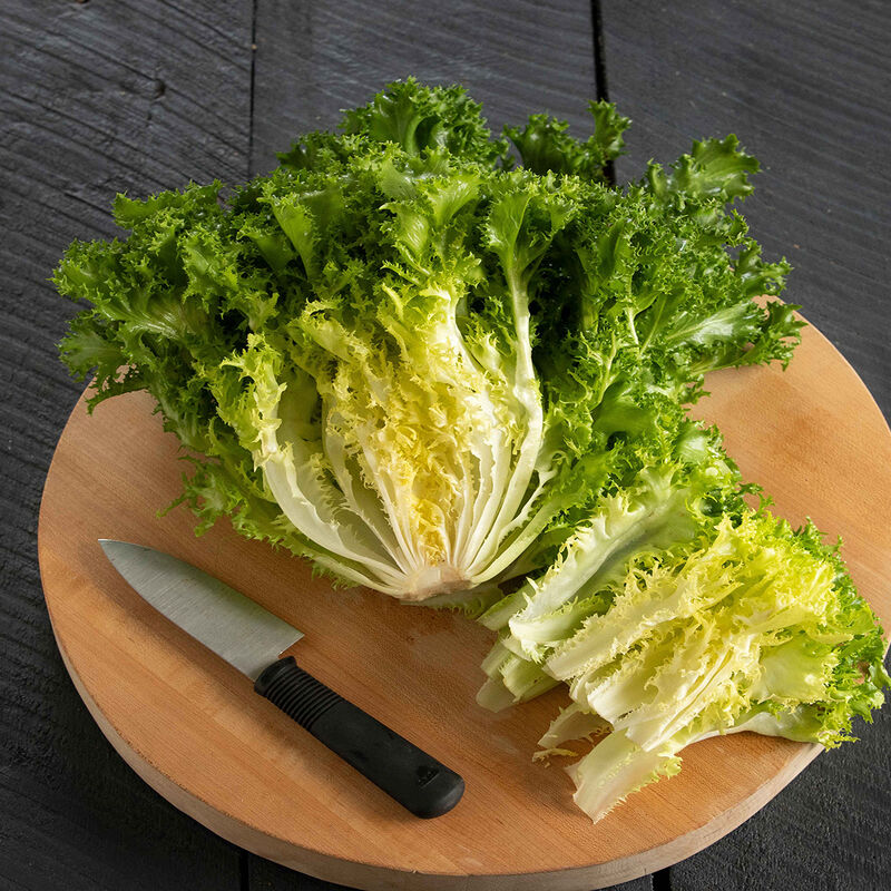 Curlesi Endive