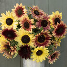 Strawberry Lemonade Mix Tall Sunflowers