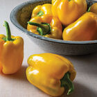 Sonoma Sweet Bell Peppers