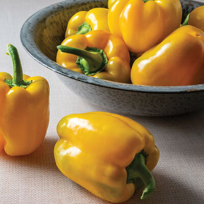 Sonoma Sweet Bell Peppers