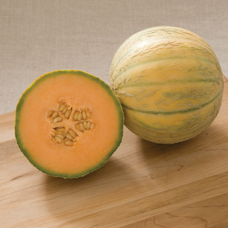 Escorial French Melons (Charentais)