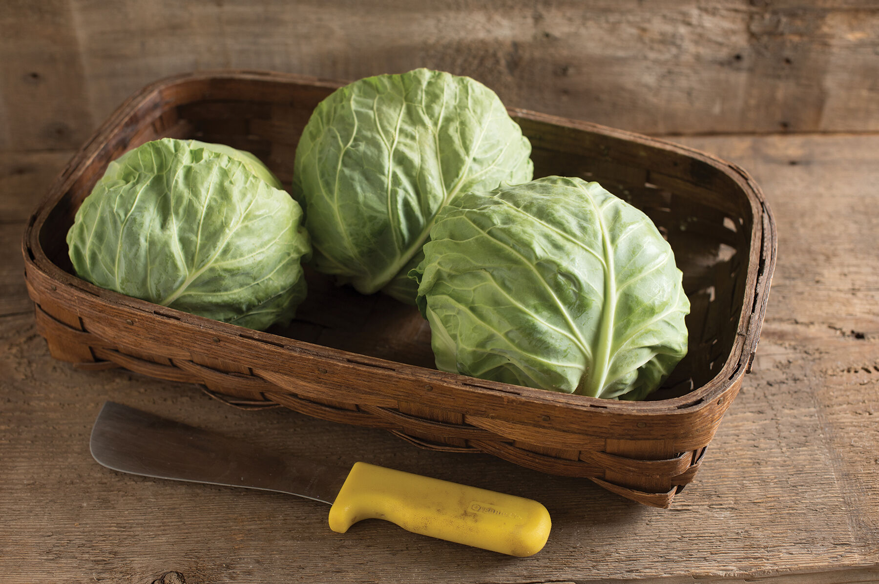 Tiara - Organic (F1) Cabbage Seed | Johnny's Selected Seeds