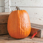 Early Giant Jack-o-Lanterns
