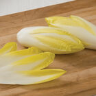 Totem Belgian Endive (Witloof)