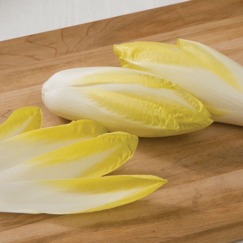 Totem Belgian Endive (Witloof)