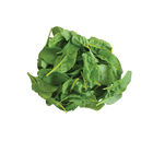 Bright Yellow Swiss Chard