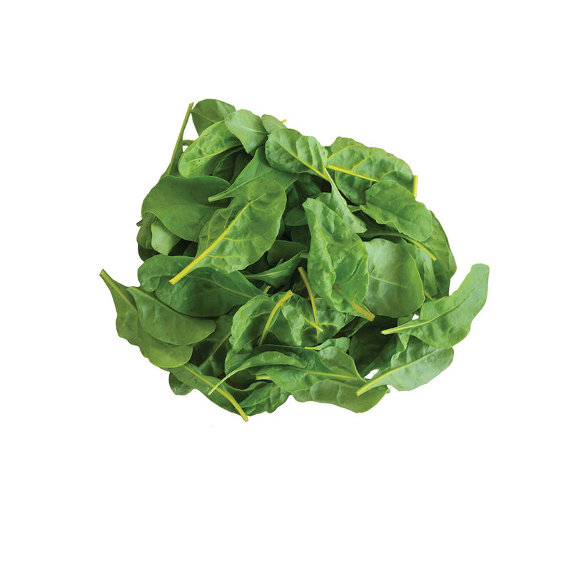 Bright Yellow Swiss Chard