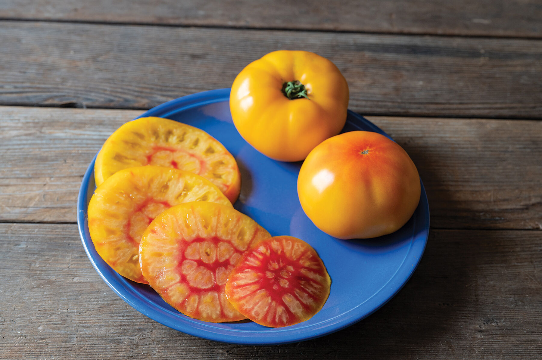 Harvest Moon - Organic Yellow Tomato Seed | Johnny's