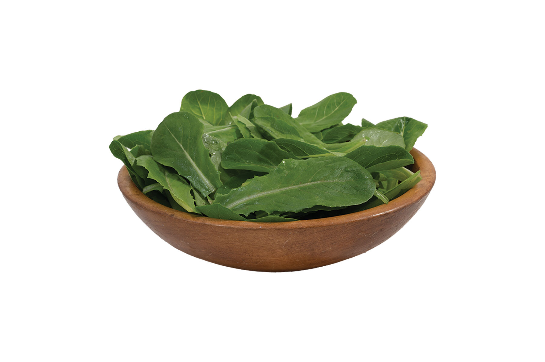 Reyes (3SX3901) - Organic Lettuce Seed | Johnny's Selected Seeds