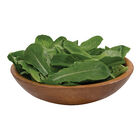 Reyes (3SX3901) Romaine Lettuce (Cos)