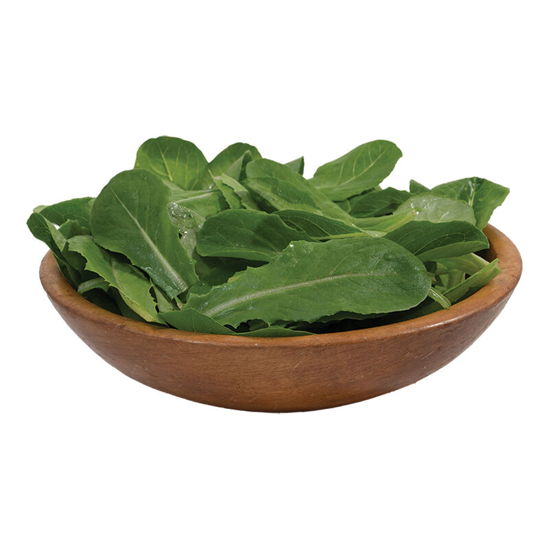 Reyes (3SX3901) Romaine Lettuce (Cos)
