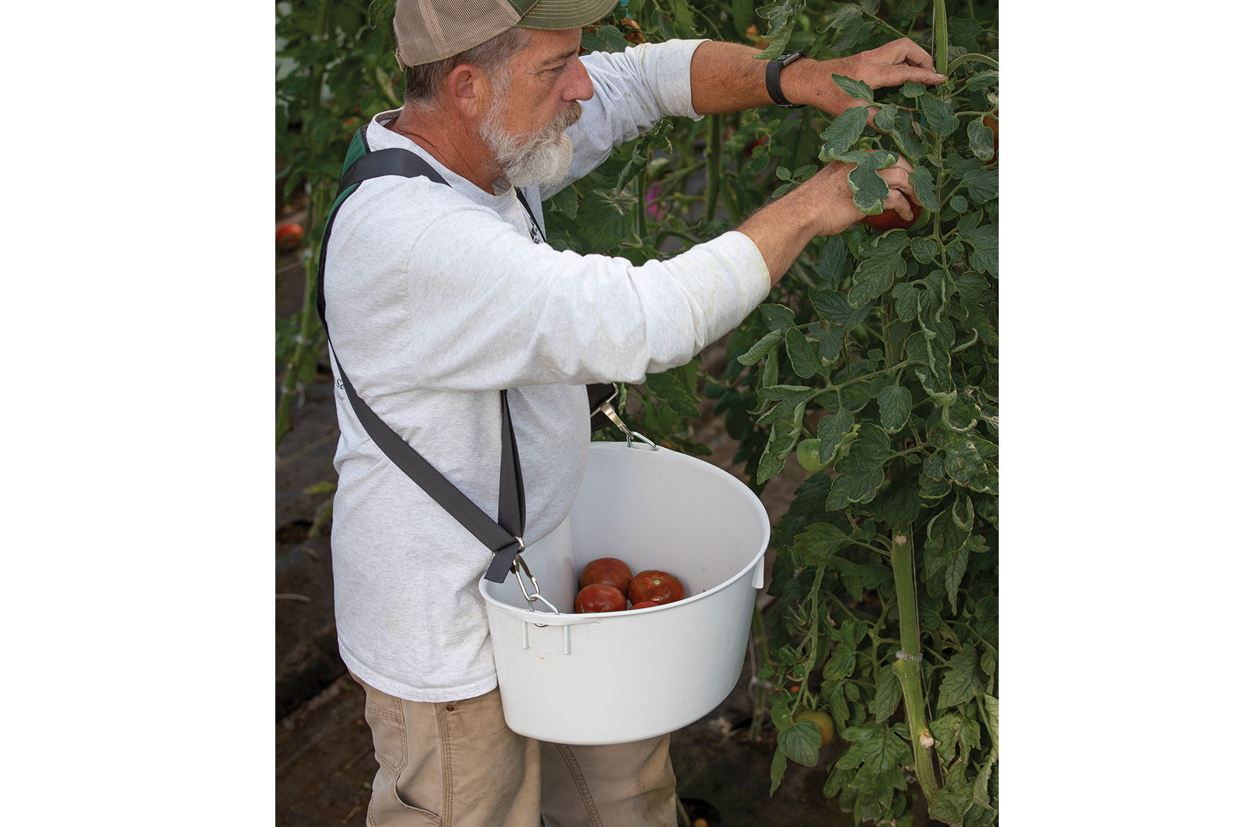 Harvest Bucket Containers & Baskets
