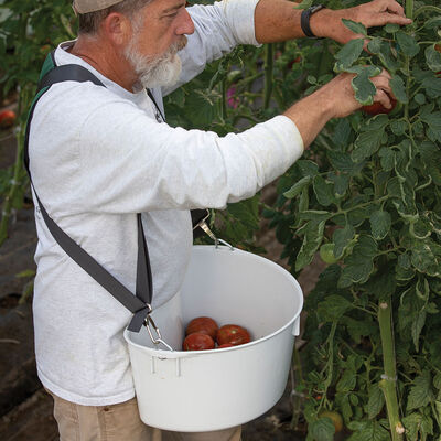 Harvest Bucket Harvest Bucket Containers & Baskets