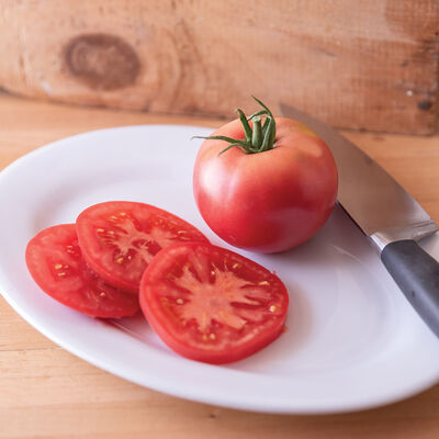 Enroza Beefsteak Tomatoes