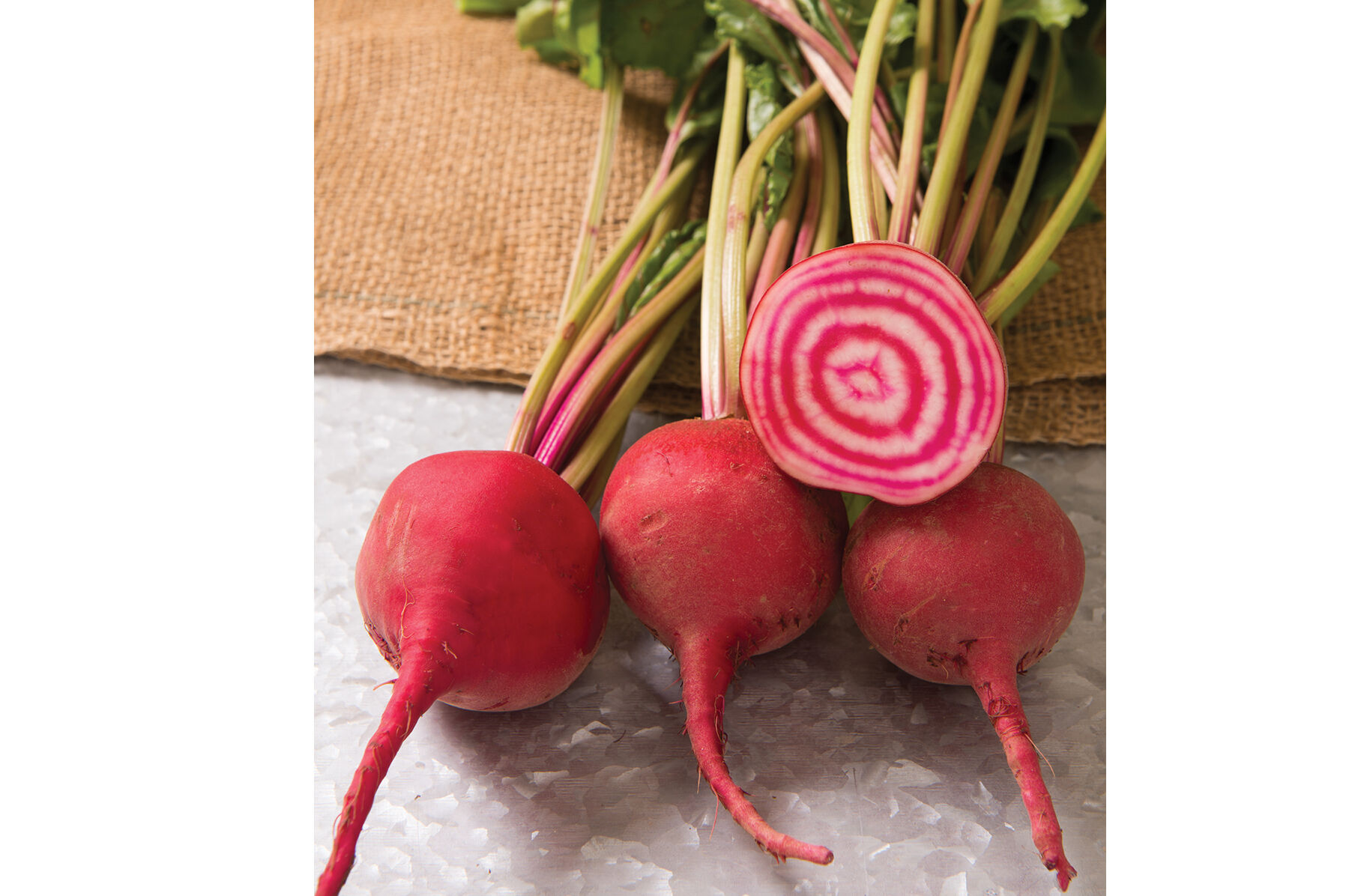 Red Round Beet Seeds - Organic Varieties | Johnny's Selected