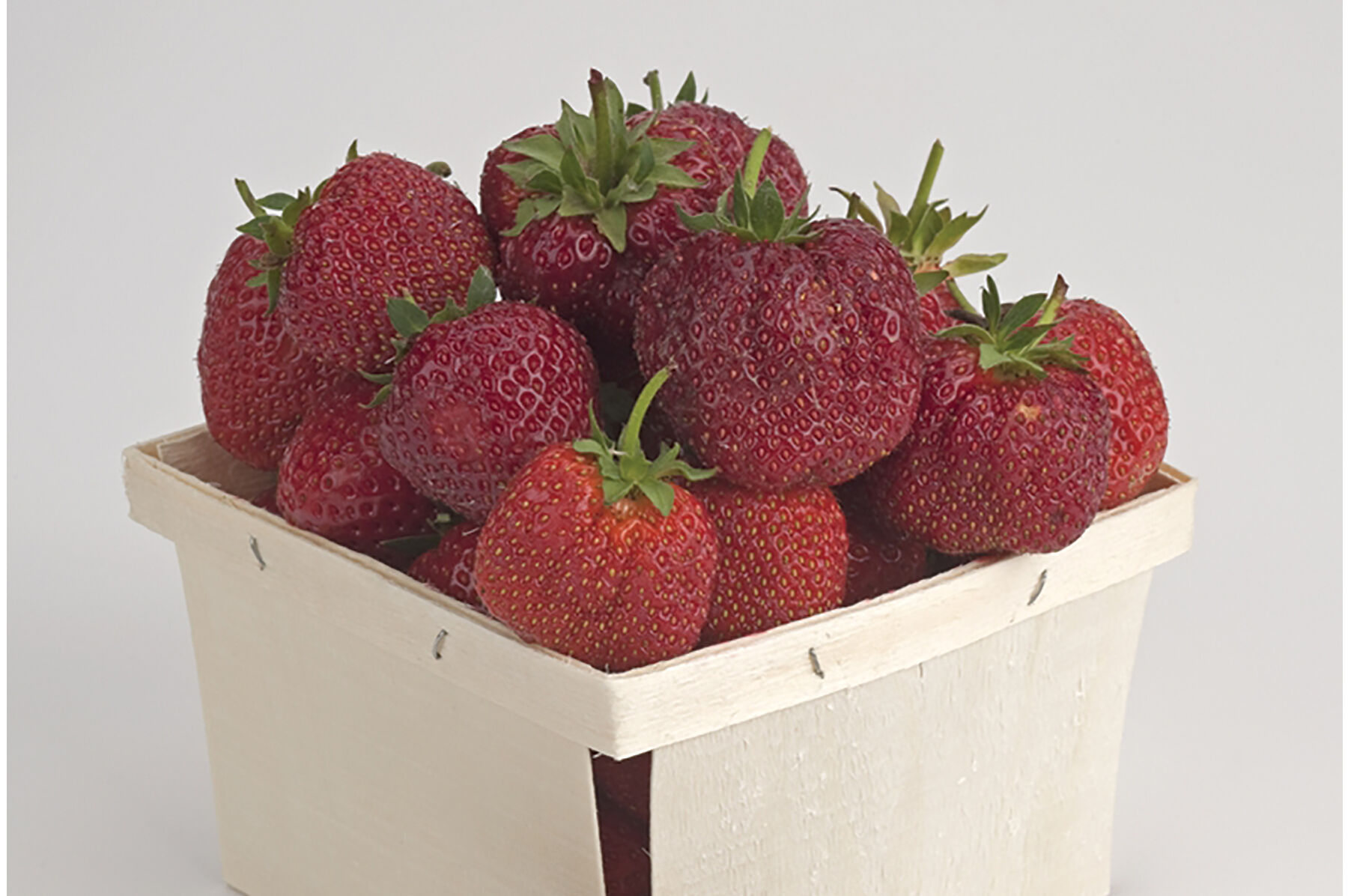 Sparkle – Spring-Planted - Strawberry Plants | Johnny's