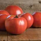 Martha Washington Beefsteak Tomatoes