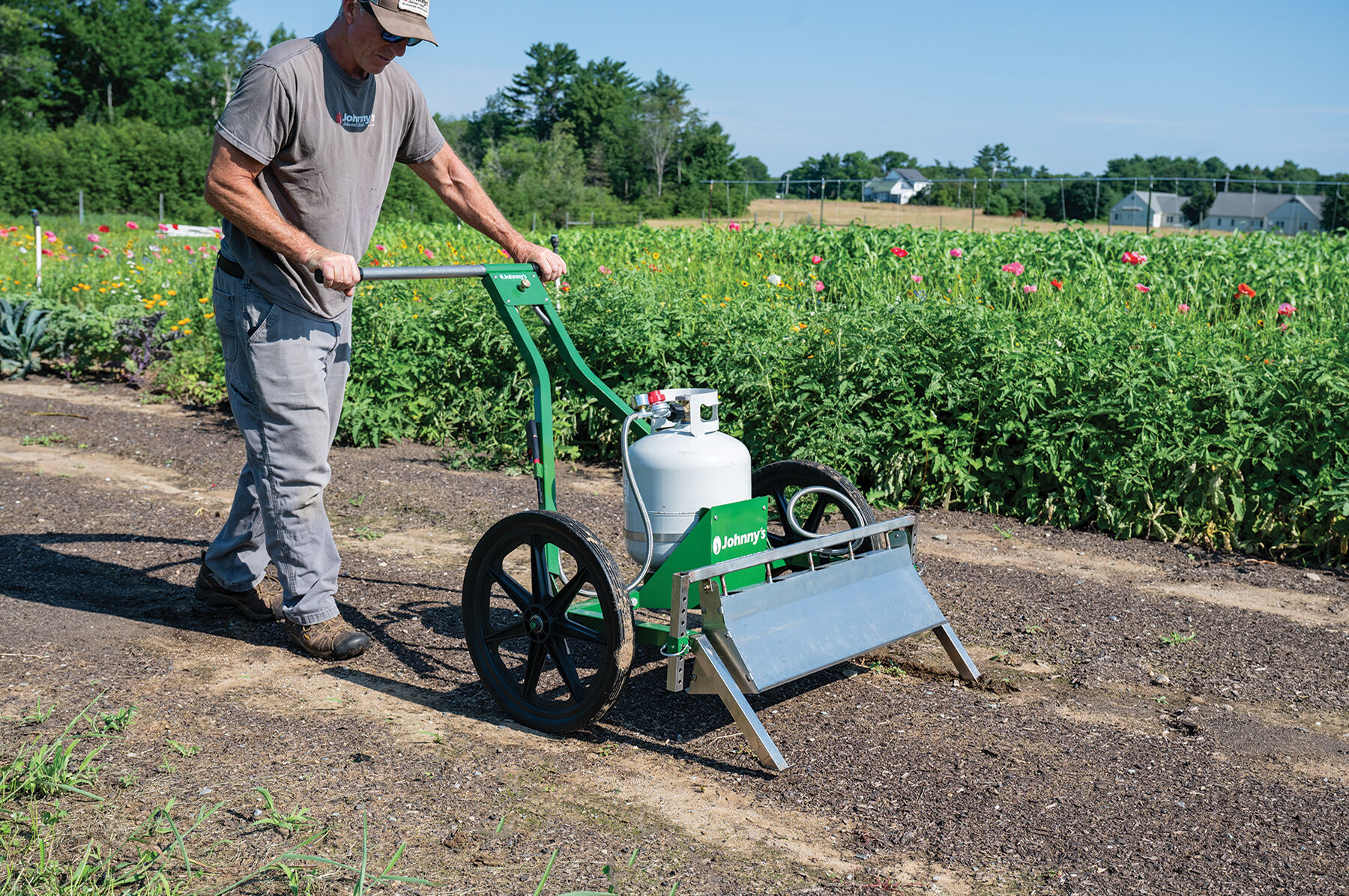 Flame weeder discount
